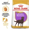 Сухий корм для собак Royal Canin Labrador Retriever Sterilised 12 кг (3182550787581)