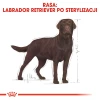 Сухий корм для собак Royal Canin Labrador Retriever Sterilised 12 кг (3182550787581)