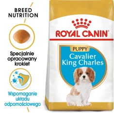 Сухий корм для цуценят Royal Canin кавалер-кінг-чарльз-спанієля Cavalier King Charles Spaniel Puppy 1,5 кг (3182550813051)