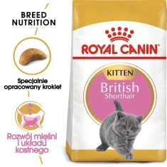 Сухий корм для кошенят Royal Canin British Shorthair Kitten 2 кг (3182550816533)