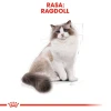 Сухий корм для котів Royal Canin Ragdoll Adult 400 г (3182550825955)