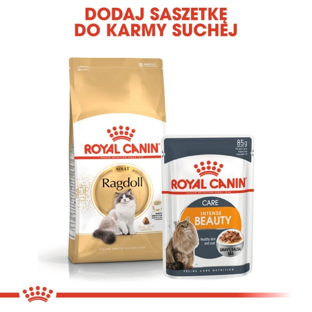 Сухий корм для котів Royal Canin Ragdoll Adult 400 г (3182550825955)
