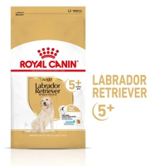 Сухий корм для собак Royal Canin породи Лабрадор ретрівер від 5 років Labrador Retriever Adult 5+ 12 кг (3182550908412)