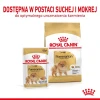 Сухий корм для собак Royal Canin Pomeranian Adult 500 г (3182550908436)