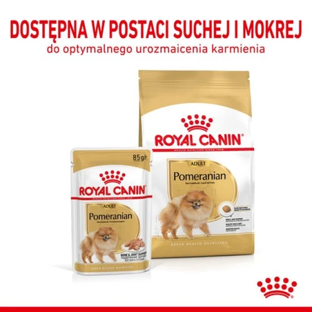 Сухий корм для собак Royal Canin Pomeranian Adult 500 г (3182550908436)