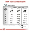 Ветеринарна дієта для собак Royal Canin Anallergenic Small 3 кг (3182550938983)