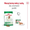 Сухий корм для собак малих порід Royal Canin Mini Adult 800 г (3182551055658)