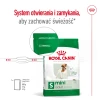 Сухий корм для собак малих порід Royal Canin Mini Adult 800 г (3182551055658)