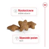Сухий корм для собак малих порід Royal Canin Mini Adult 800 г (3182551055658)