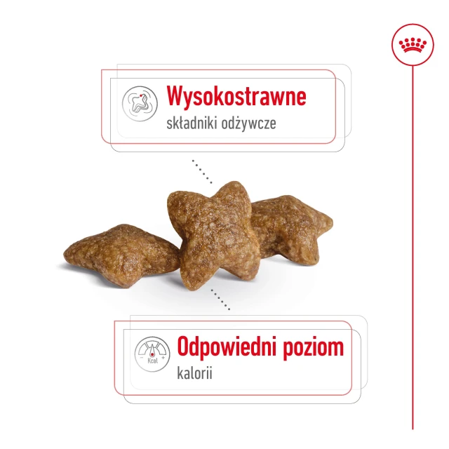 Сухий корм для собак малих порід Royal Canin Mini Adult 800 г (3182551055658)