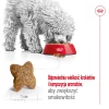 Сухий корм для собак малих порід Royal Canin Mini Adult 800 г (3182551055658)