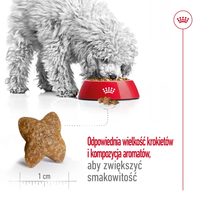 Сухий корм для собак малих порід Royal Canin Mini Adult 800 г (3182551055658)