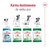 Сухий корм для собак малих порід Royal Canin Mini Adult 800 г (3182551055658)