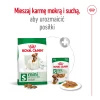 Сухий корм для собак малих порід Royal Canin Mini Adult 800 г (3182551055658)