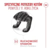 Сухий корм для котів Royal Canin Ageing 11+ 2 кг (3182551066005)