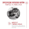 Сухий корм для котів Royal Canin Ageing 15+ 2 кг (3182551066067)