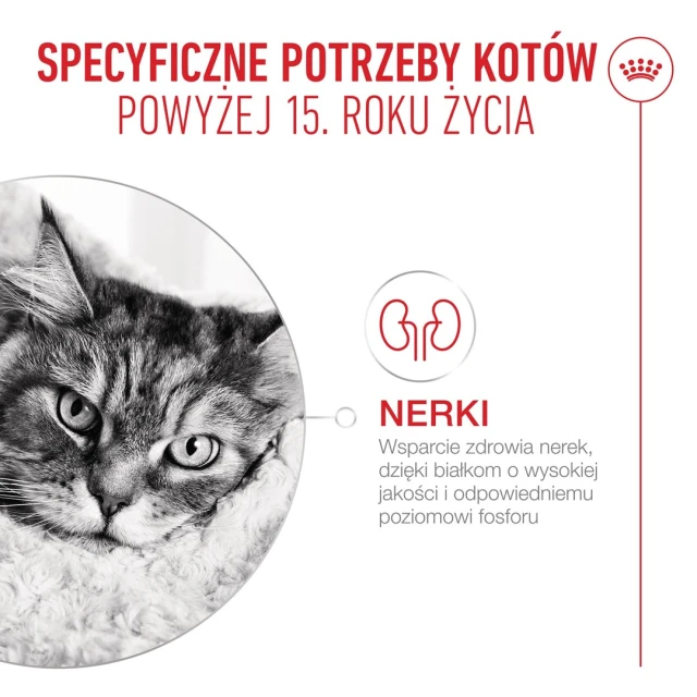 Сухий корм для котів Royal Canin Ageing 15+ 2 кг (3182551066067)