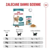 Сухий корм для котів Royal Canin Ageing 11+ 4 кг (3182551066098)