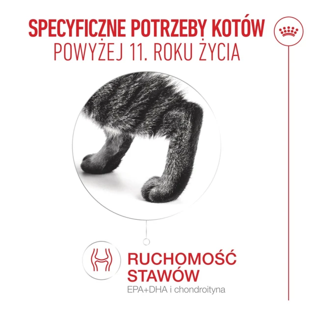 Сухий корм для котів Royal Canin Ageing 11+ 4 кг (3182551066098)