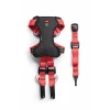 Шлейка для собак ZOLUX Travel Safe S Red (3336024621219)