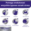 Змінний блок для котів Ceva Feliway Optimum 48 мл (3411113030490)