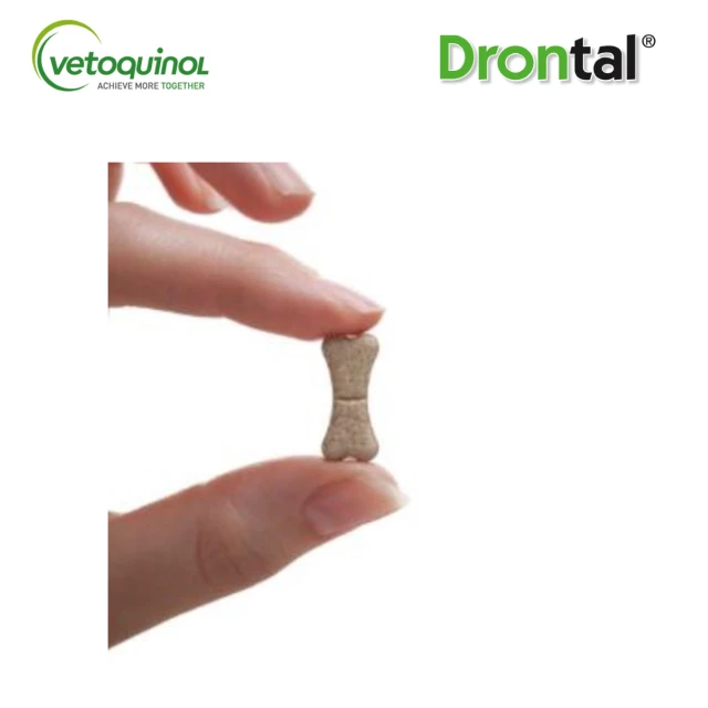 Таблетки від глистів для собак Vetoquinol до 10 кг Drontal Dog Flavour 2 шт (3605870112081)
