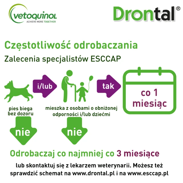 Таблетки від глистів для собак Vetoquinol до 10 кг Drontal Dog Flavour 2 шт (3605870112081)