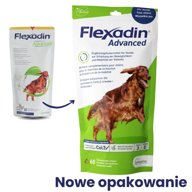 Кормова добавка для собак Vetoquinol Flexadin Advanced 60 шт (3605874565555)