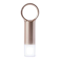 Брелок Lexon Nomaday Flash LED Gold (LL137D)