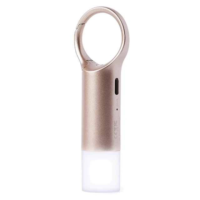 Брелок Lexon Nomaday Flash LED Gold (LL137D)