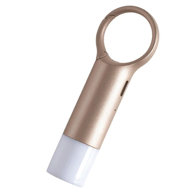 Брелок Lexon Nomaday Flash LED Gold (LL137D)