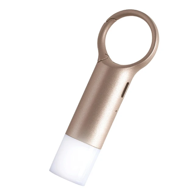 Брелок Lexon Nomaday Flash LED Gold (LL137D)