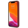 Чехол Mercedes для iPhone 13 | 13 Pro Silicone Line Red (MEHCP13LSILRE)