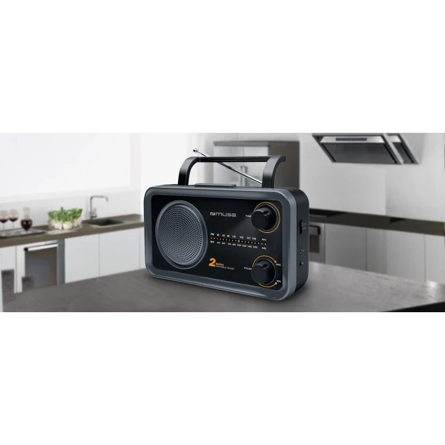 Портативное радио Muse M-06DS Grey (3700460206437)