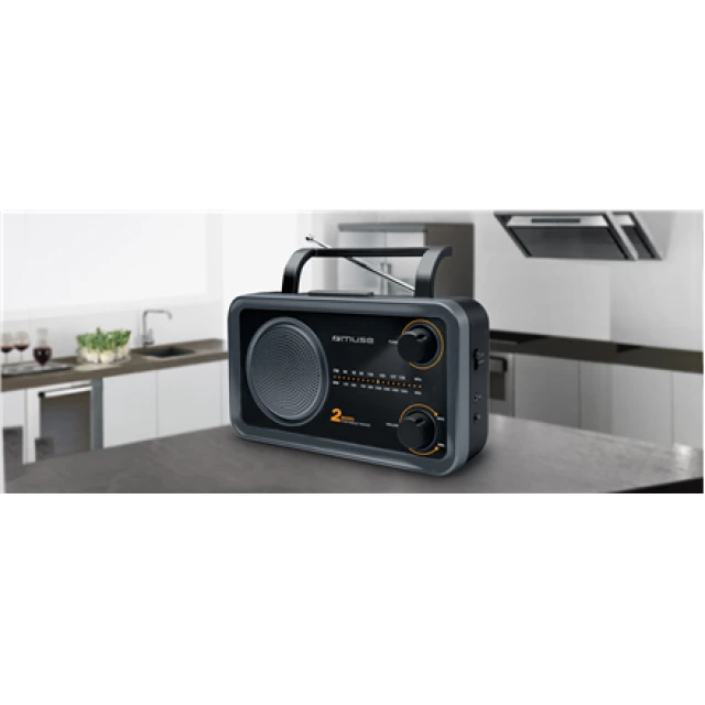 Портативное радио Muse M-06DS Grey (3700460206437)