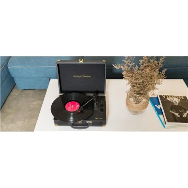 Стереосистема Muse MT-103GD з грамофоном USB AUX Black (3700460207014)