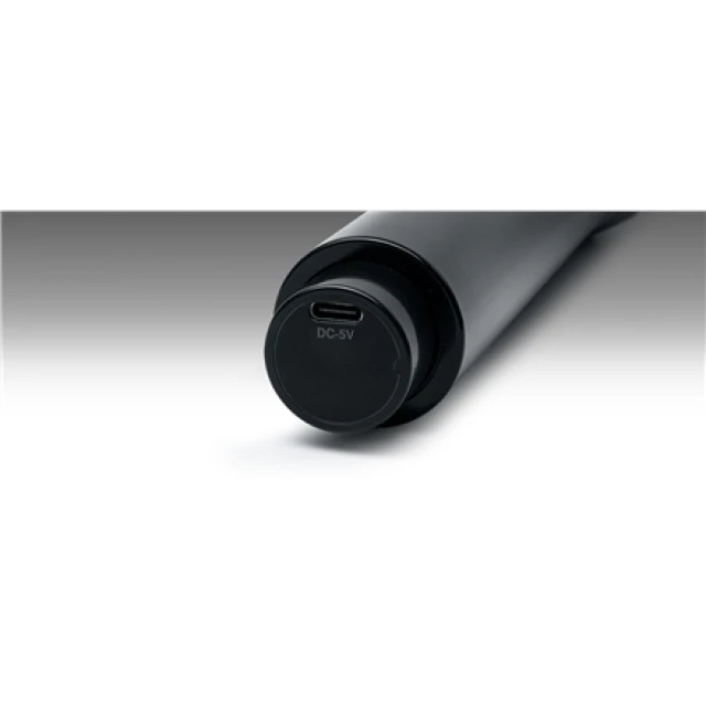 Микрофон Muse MC-30 WI беспроводной (3700460208936)
