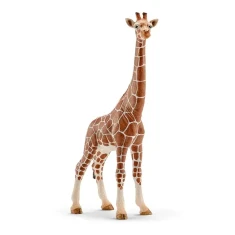 Фігурка Самка жирафа Schleich (14750)