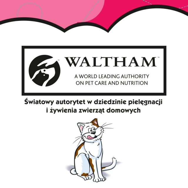 Ласощі для котів Dreamies з яловичиною 60 г (4008429037948)