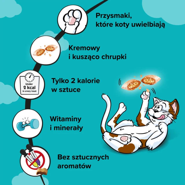 Ласощі для котів Dreamies з лососем 60 г (4008429037962)