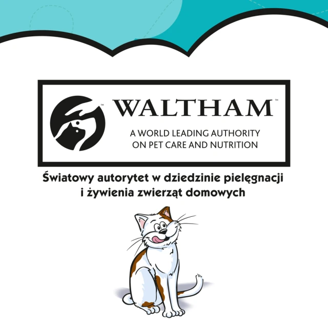 Ласощі для котів Dreamies з лососем 60 г (4008429037962)