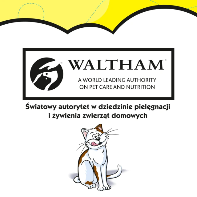 Ласощі для котів Dreamies з сиром 60 г (4008429037986)