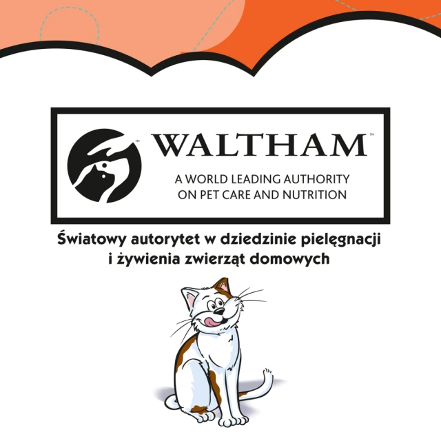 Ласощі для котів Dreamies з куркою 180 г (4008429092008)