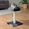 Кігтеточка для котів Trixie Junior Tarifa 52 см Grey-Black (4011905437125)