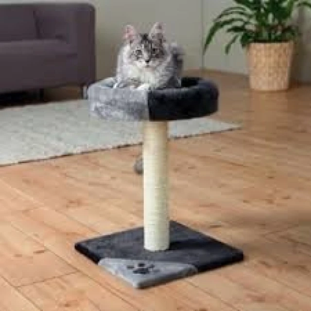 Кігтеточка для котів Trixie Junior Tarifa 52 см Grey-Black (4011905437125)
