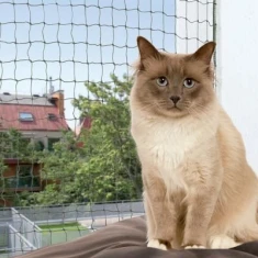 Сітка захисна для котів Trixie 3×2 м Olive (4011905442921)