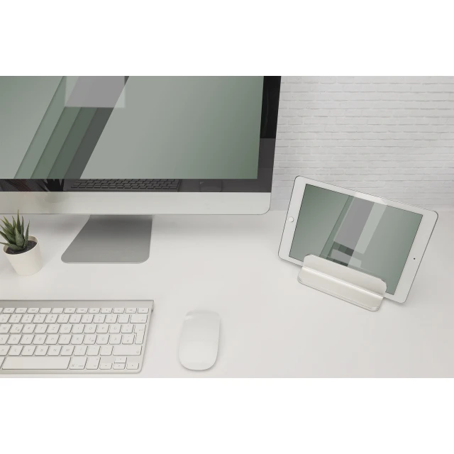 Настільне кріплення для монітора Digitus DA-90439 до 10 кг Silver (4016032481799)