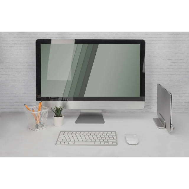 Настільне кріплення для монітора Digitus DA-90439 до 10 кг Silver (4016032481799)