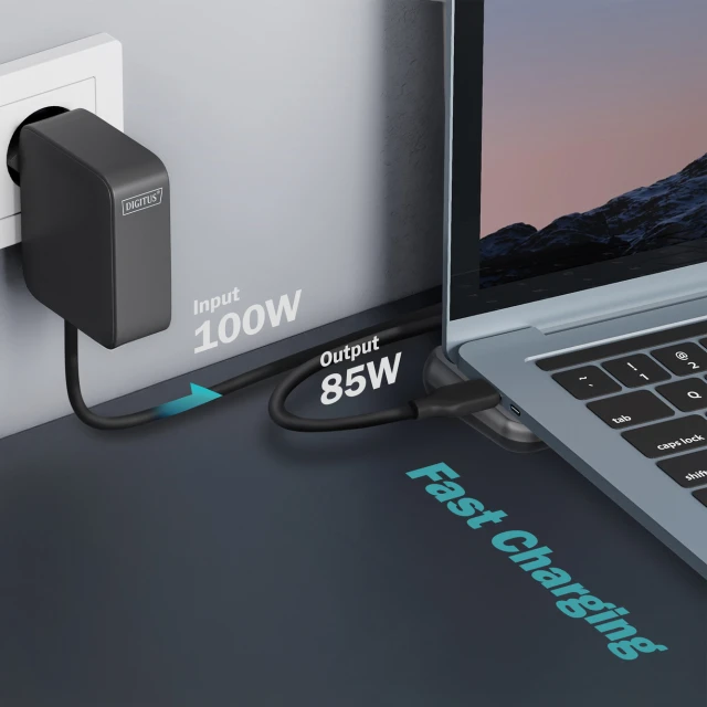 Док-станція Digitus USB-C 8K 12-портова (4016032502098)