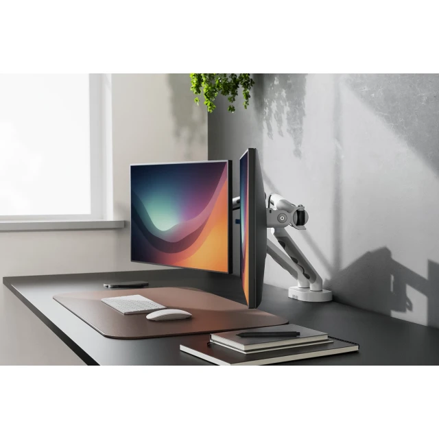 Кріплення для двох моніторів настільне Digitus 2x 35